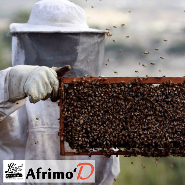 Apiculture : vente de miel